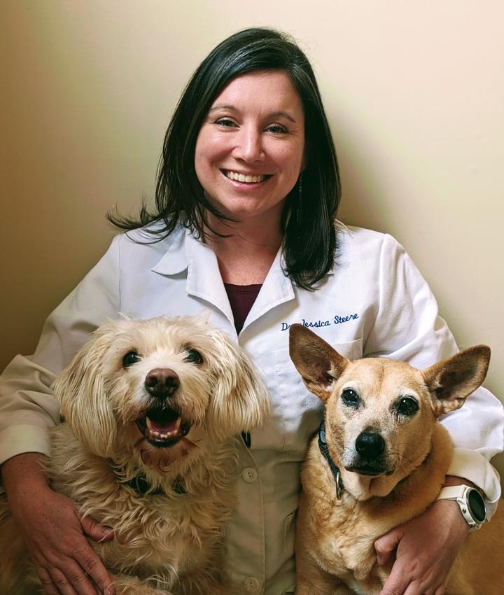 arlington animal clinic staff